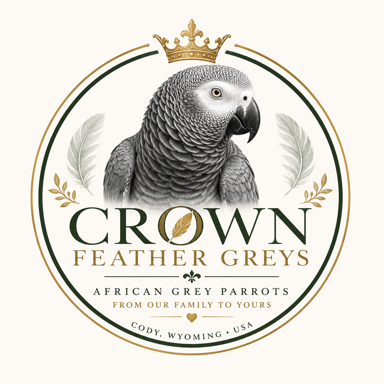 Crown Feather Greys
